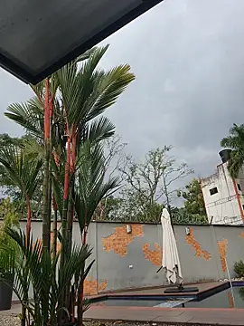 Yessica Lopezz online show from 02-13-26, 12:23