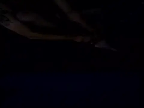 Snapshot of Crossedsissy chatting on 12-15-25, 05:34 Crossedsissy online show from 12-15-25, 05:34