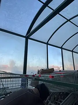 MiraReach online show from 10-15-25, 04:34