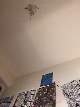 Snapshot of Sissy_Cindy_Whore chatting on 02-12-26, 12:05 Sissy Cindy Whore online show from 02-12-26, 12:05