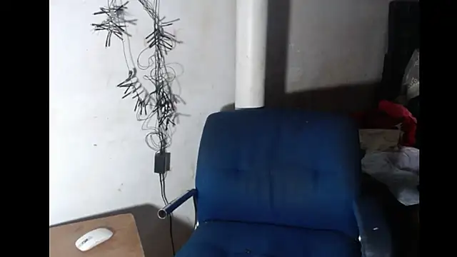 BebaFoxx online show from 02-08-26, 10:35