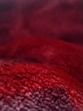 Snapshot of saneer69tew chatting on 02-26-26, 06:12 saneer69tew online show from 02-26-26, 06:12