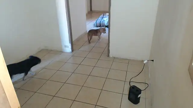 BlondZilla online show from 12-16-25, 08:58