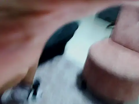 Snapshot of kata-gomez chatting on 02-21-26, 03:40 kata-gomez online show from 02-21-26, 03:40