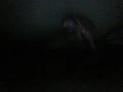 itachi thebro1 online show from 06-10-26, 04:12