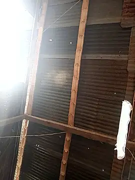 Snapshot of Davir2001 chatting on 02-27-26, 01:44 Davir2001 online show from 02-27-26, 01:44