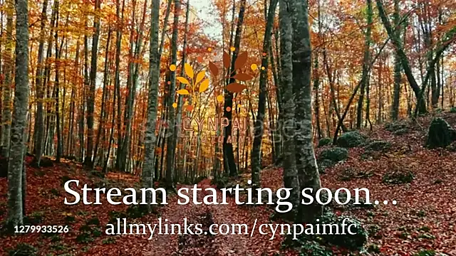 Cynpai online show from 11-17-25, 04:29