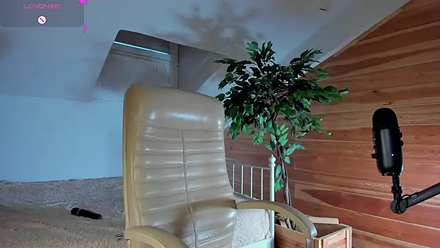 AuroraShoww online show from 11-20-25, 12:49