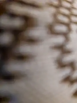 Snapshot of mojaymort chatting on 11-11-25, 10:54 mojaymort online show from 11-11-25, 10:54