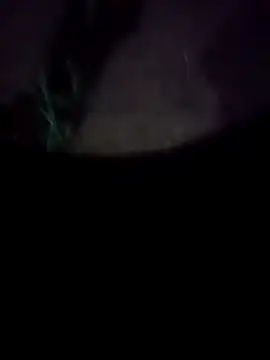 Snapshot of mkallu1995 chatting on 02-18-26, 05:20 mkallu1995 online show from 02-18-26, 05:20