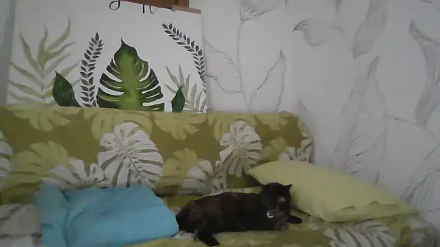 Catty Lady online show from 09-27-25, 06:35