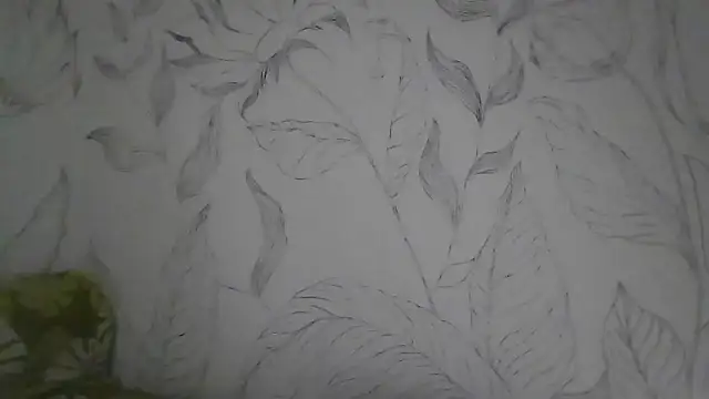 Catty Lady online show from 09-30-25, 07:08