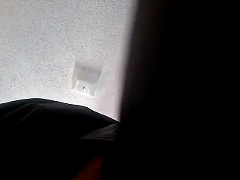 wodash9921 online show from 10-22-25, 04:07