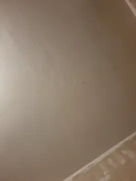 Snapshot of gazb90 chatting on 01-14-26, 08:03 gazb90 online show from 01-14-26, 08:03