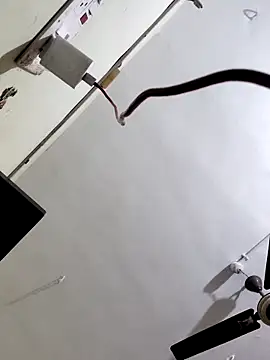 papukurty online show from 10-07-25, 03:14