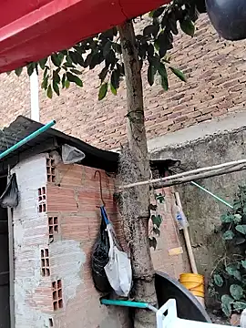 You-sexy-starr online show from 10-09-25, 04:38