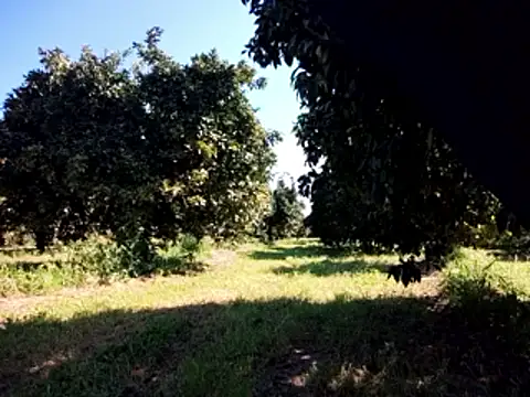 Snapshot of stefanoss321 chatting on 03-09-26, 09:24 stefanoss321 online show from 03-09-26, 09:24