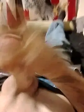 helldonk online show from 04-25-26, 02:47