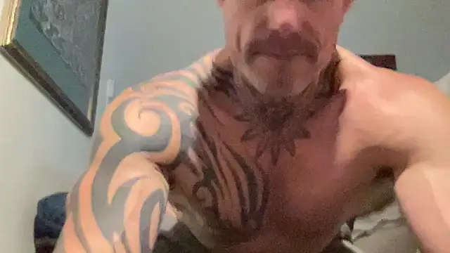 AWOL101 online show from 02-13-26, 02:29