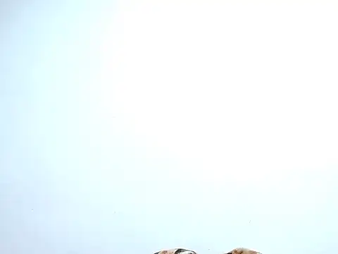 Snapshot of saara_johnson496 chatting on 10-30-25, 11:38 saara johnson496 online show from 10-30-25, 11:38