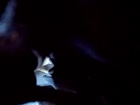 PENTHOUSECEOCLUBHOUSEPRES online show from 11-25-25, 06:41