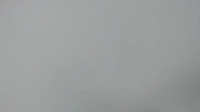 Snapshot of eladyrous98 chatting on 12-17-25, 02:01 eladyrous98 online show from 12-17-25, 02:01