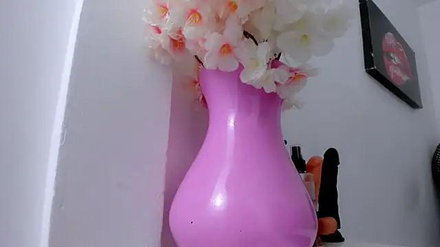 Snapshot of eimy_skinny_ chatting on 01-18-26, 01:04 eimy skinny online show from 01-18-26, 01:04