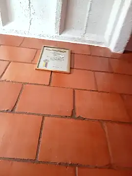 Lee priest online show from 01-17-26, 05:27