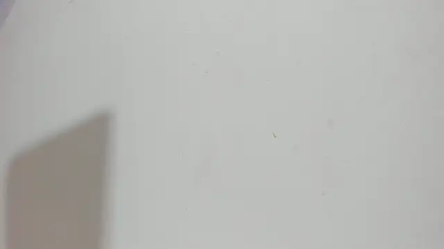 Sophia Ebony online show from 05-15-26, 12:12