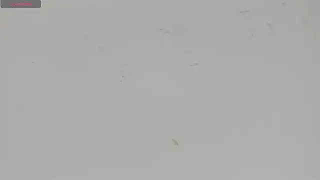 Sophia Ebony online show from 07-15-26, 12:10