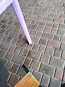 Snapshot of Odecca11 chatting on 11-23-25, 08:25 Odecca11 online show from 11-23-25, 08:25