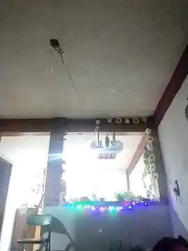 perrotjuui97 online show from 11-15-25, 01:47