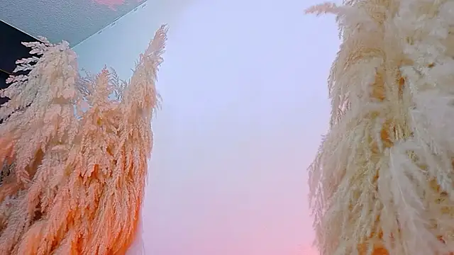 JulietaDavis online show from 02-19-26, 08:10