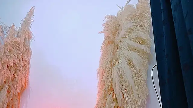 JulietaDavis online show from 02-20-26, 09:32