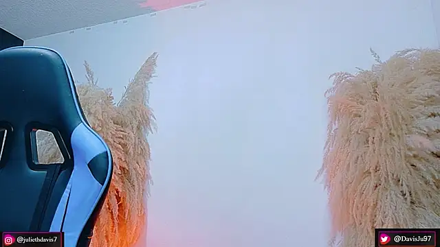 JulietaDavis online show from 04-29-26, 02:04