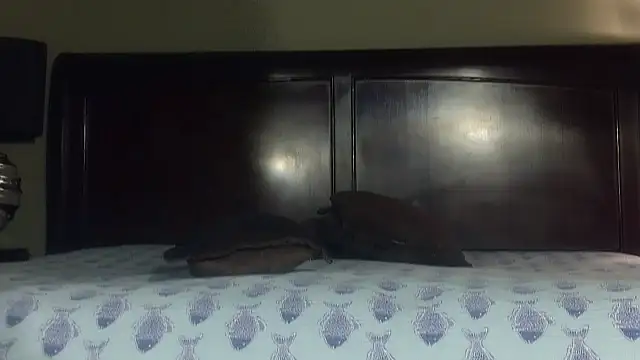 Snapshot of Hornylouisewil chatting on 11-21-25, 12:43 Hornylouisewil online show from 11-21-25, 12:43