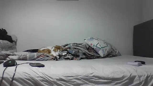 kocasosisli online show from 05-30-26, 05:43