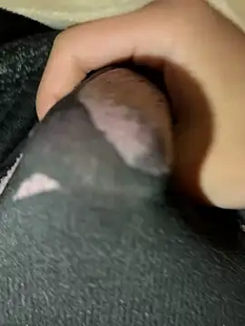 Snapshot of rrrrrriyyffhyeeee chatting on 02-16-26, 12:29 rrrrrriyyffhyeeee online show from 02-16-26, 12:29