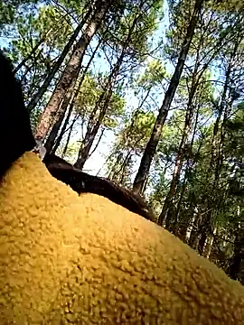 Snapshot of chengcheng12 chatting on 11-25-25, 01:38 chengcheng12 online show from 11-25-25, 01:38