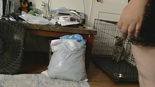 Babygrldes online show from 04-24-26, 02:03