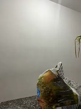 megan bigboobs  online show from 09-14-25, 07:24