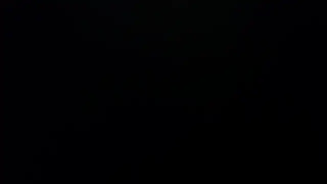 bossking017 online show from 02-19-26, 04:03