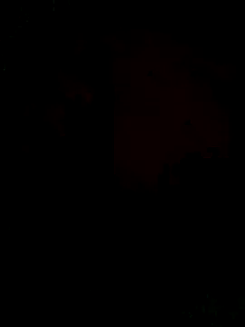 Snapshot of Ori-Lynk chatting on 12-01-25, 06:29 Ori-Lynk online show from 12-01-25, 06:29