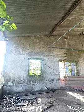 Sunny cute love online show from 10-06-25, 03:04