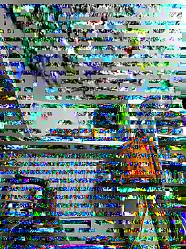 Snapshot of ISHANI-SINGH chatting on 11-29-25, 03:37 ISHANI-SINGH online show from 11-29-25, 03:37