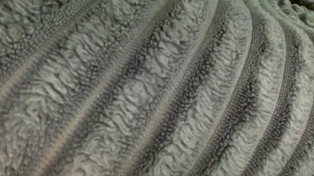 Snapshot of slutzilly chatting on 03-13-26, 03:29 slutzilly online show from 03-13-26, 03:29