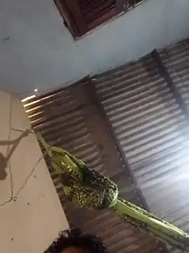 mayevviaqui online show from 03-11-26, 07:42