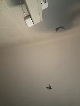 Snapshot of AroraAngel chatting on 03-07-26, 09:56 AroraAngel online show from 03-07-26, 09:56