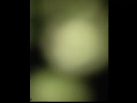 Snapshot of sobit1234 chatting on 10-18-25, 06:52 sobit1234 online show from 10-18-25, 06:52