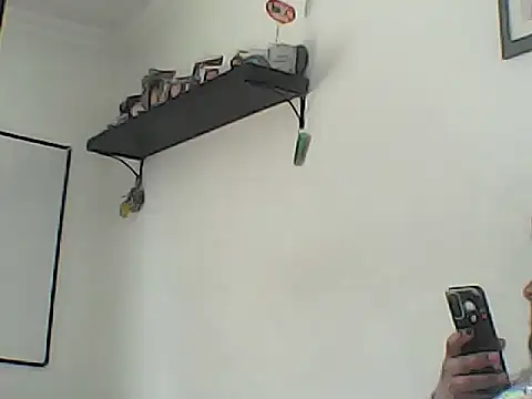 Rolo-Sumiso online show from 10-24-25, 08:27